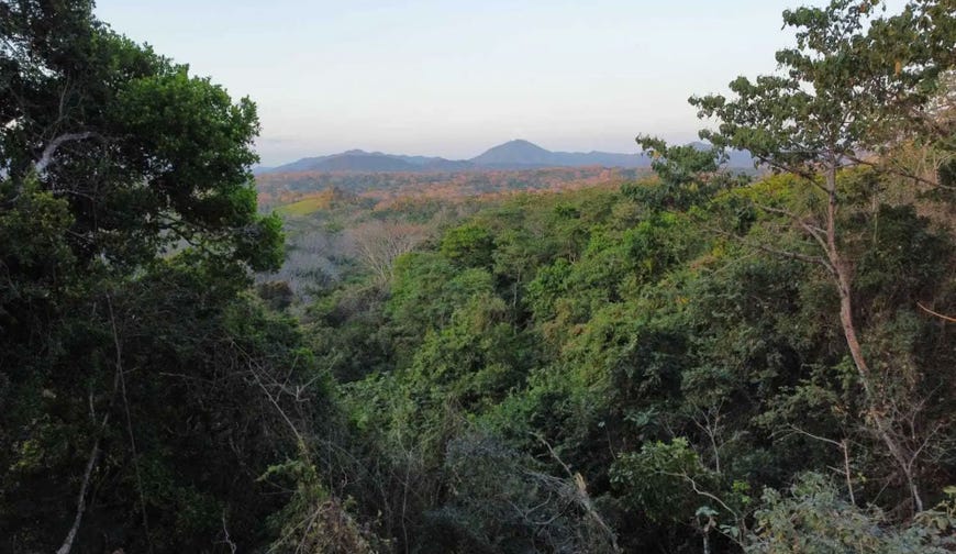 Area gallery image 1