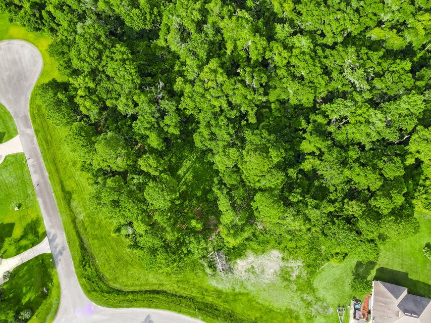 Sold 95218 Greenberry Road, Fernandina Beach, FL 32034 2.5012 Acres