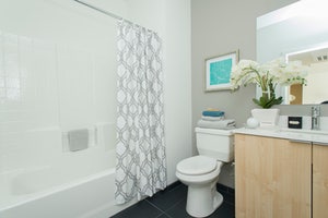 The Eco Allston Boston MA - Photo 3