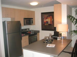 Pet Friendly Full Service Building Boston MA - Photo 3