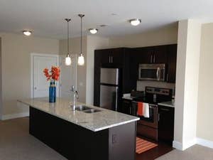 Vox Cambridge Luxury Apartments Cambridge MA - Photo 2