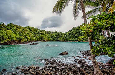 Manuel Antonio office photo