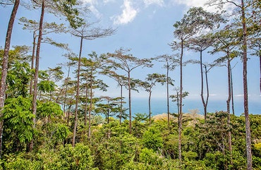 Dominical office photo