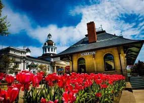 Solid Rock Realty - Kingston