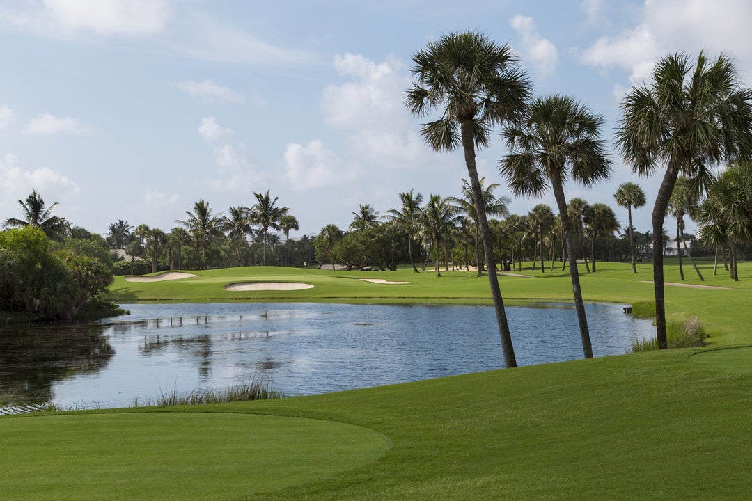 Lost Tree Golf | Lost Tree Realty