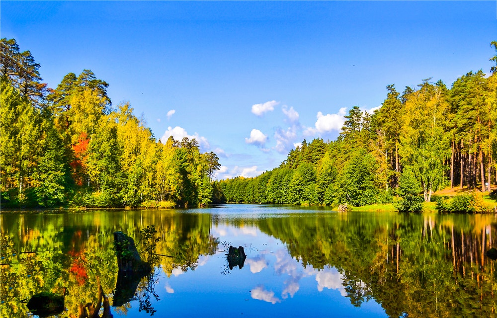 Rockingham County | LAER Realty Partners