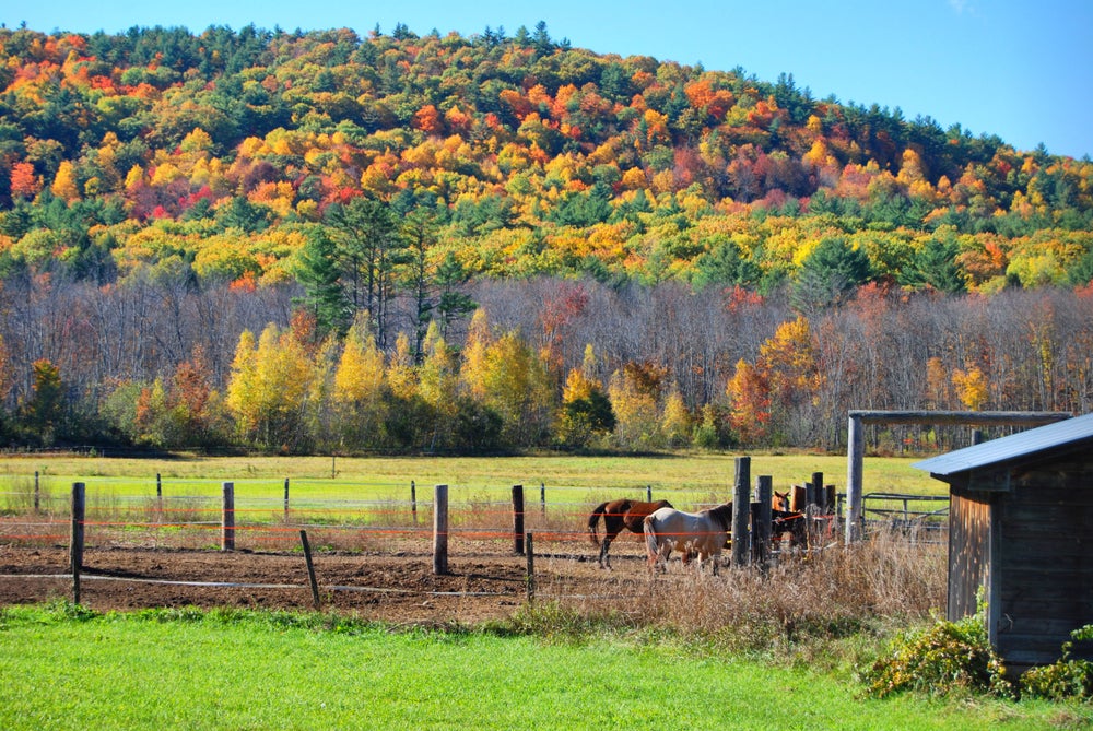 Dunbarton Market Data LAER Realty Partners