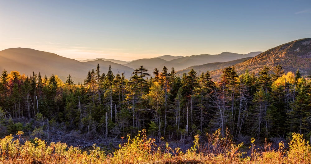 Belknap Market Data LAER Realty Partners