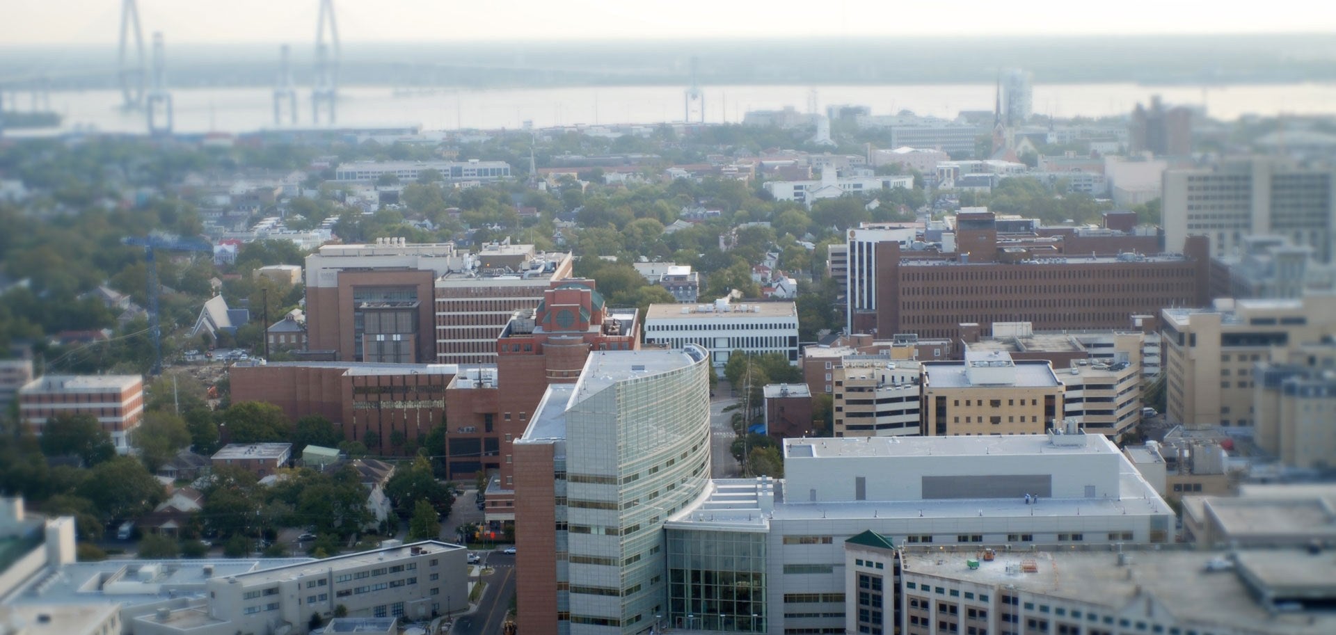 Daniel Island Real Estate