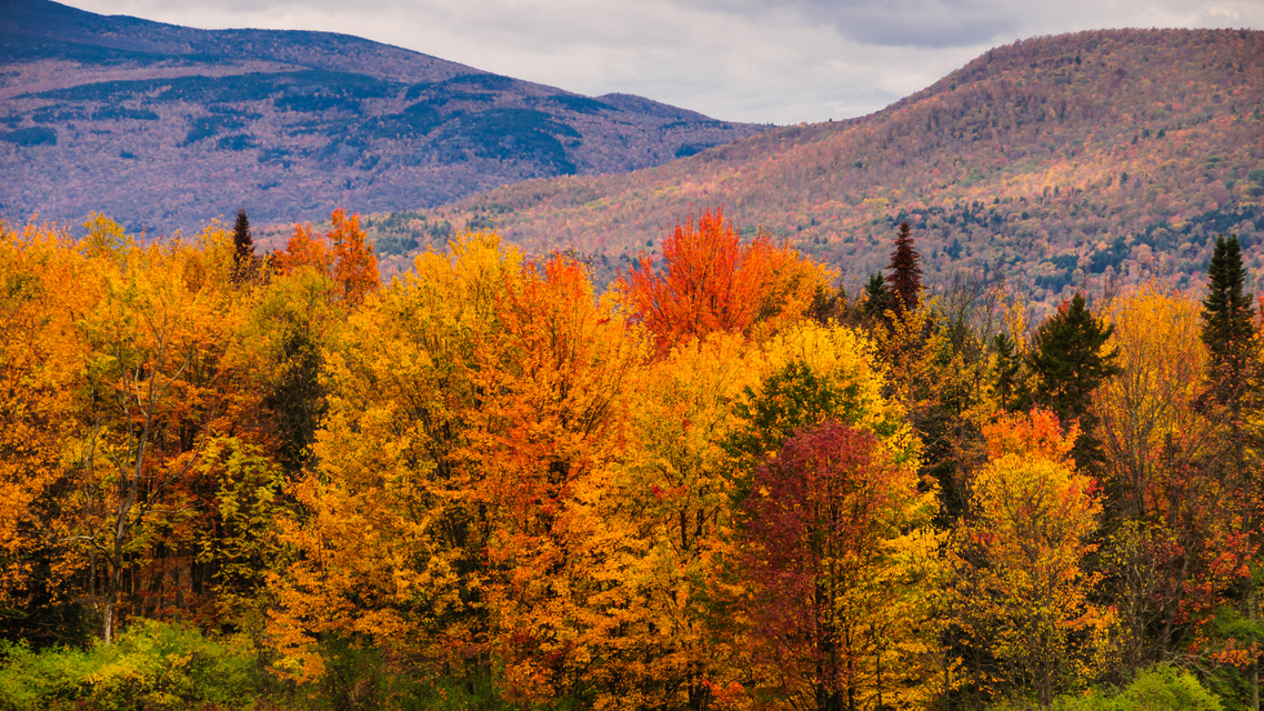 Contact Vermont Real Estate Company Burlington, Vermont