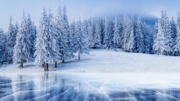 Glocker Realty & Insurance