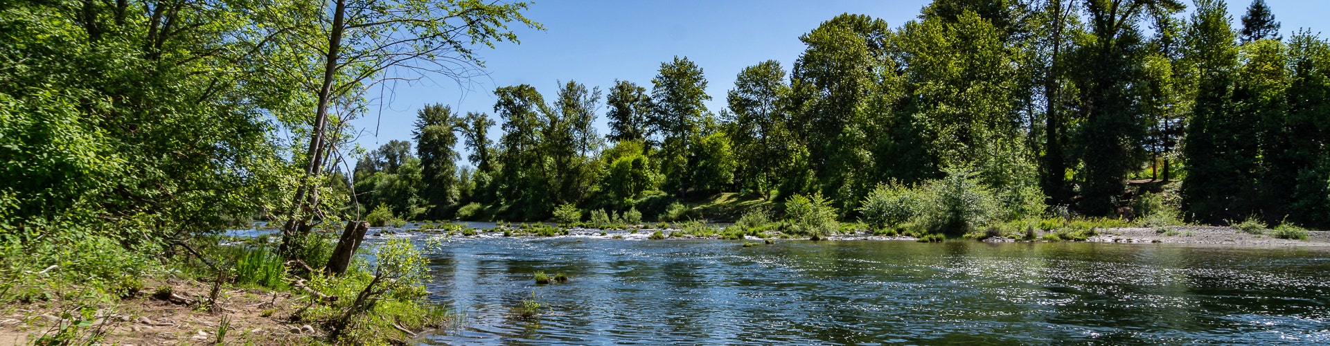 Find Out All Things Douglas County Real Estate | The Neil Company Real Estate