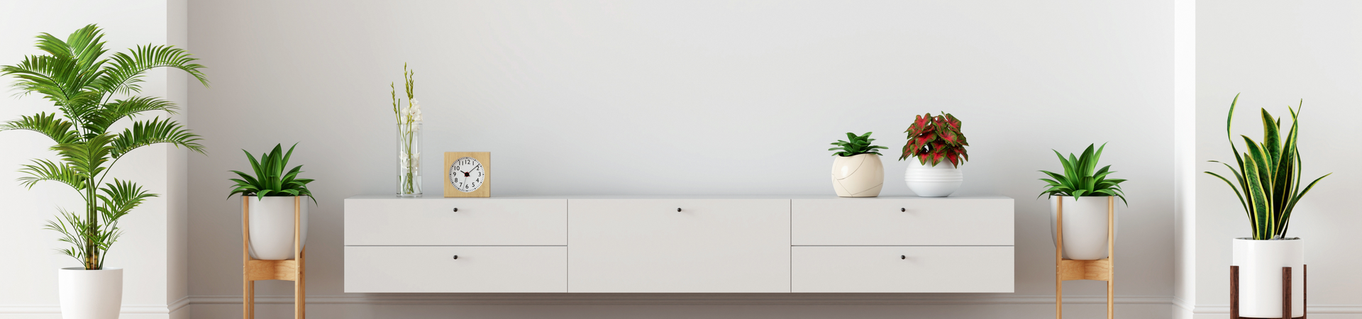 Find a Real Estate Team You Can Trust | 519 Team