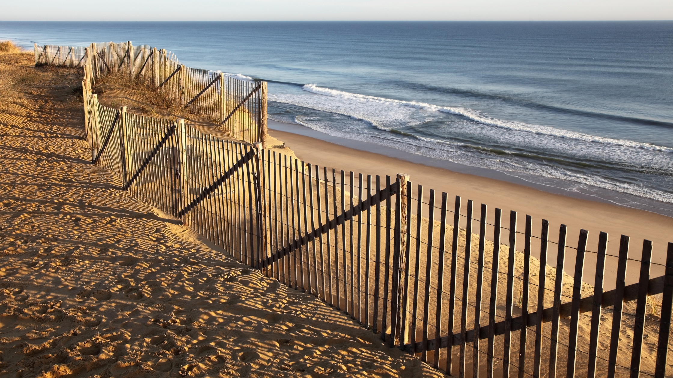 The Best Outdoor Activities in Cape Cod