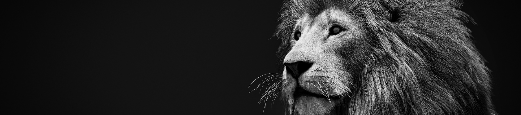 agent 2 lion | LAER Realty Partners