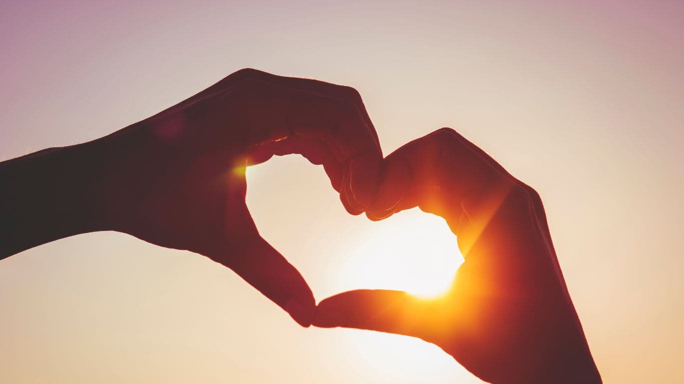 Charity &amp; Community Involvement | Lifestyle Realty Service