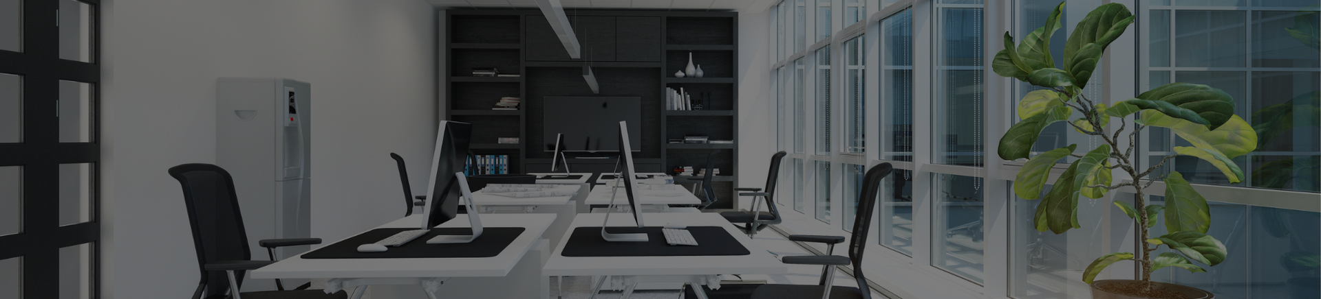 Meet the Team | Loblolly Properties, LLC