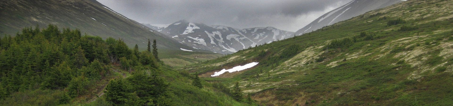 Sell Your Home in the Kenai Peninsula | Alaska Wild Property by Realty ONE Group Aurora