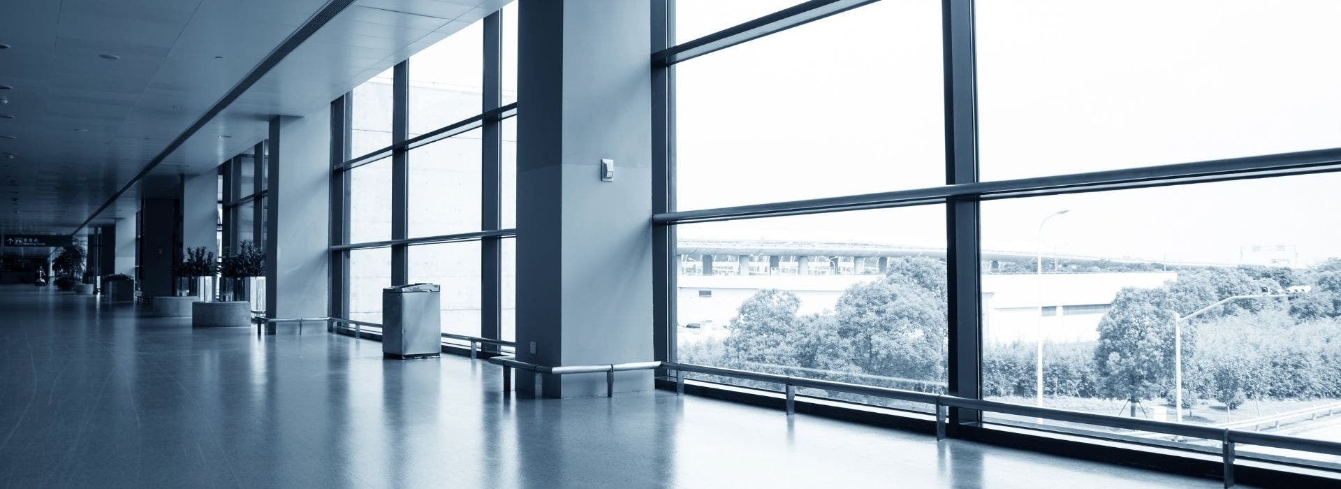 About Wendi Guo at RE/MAX 8