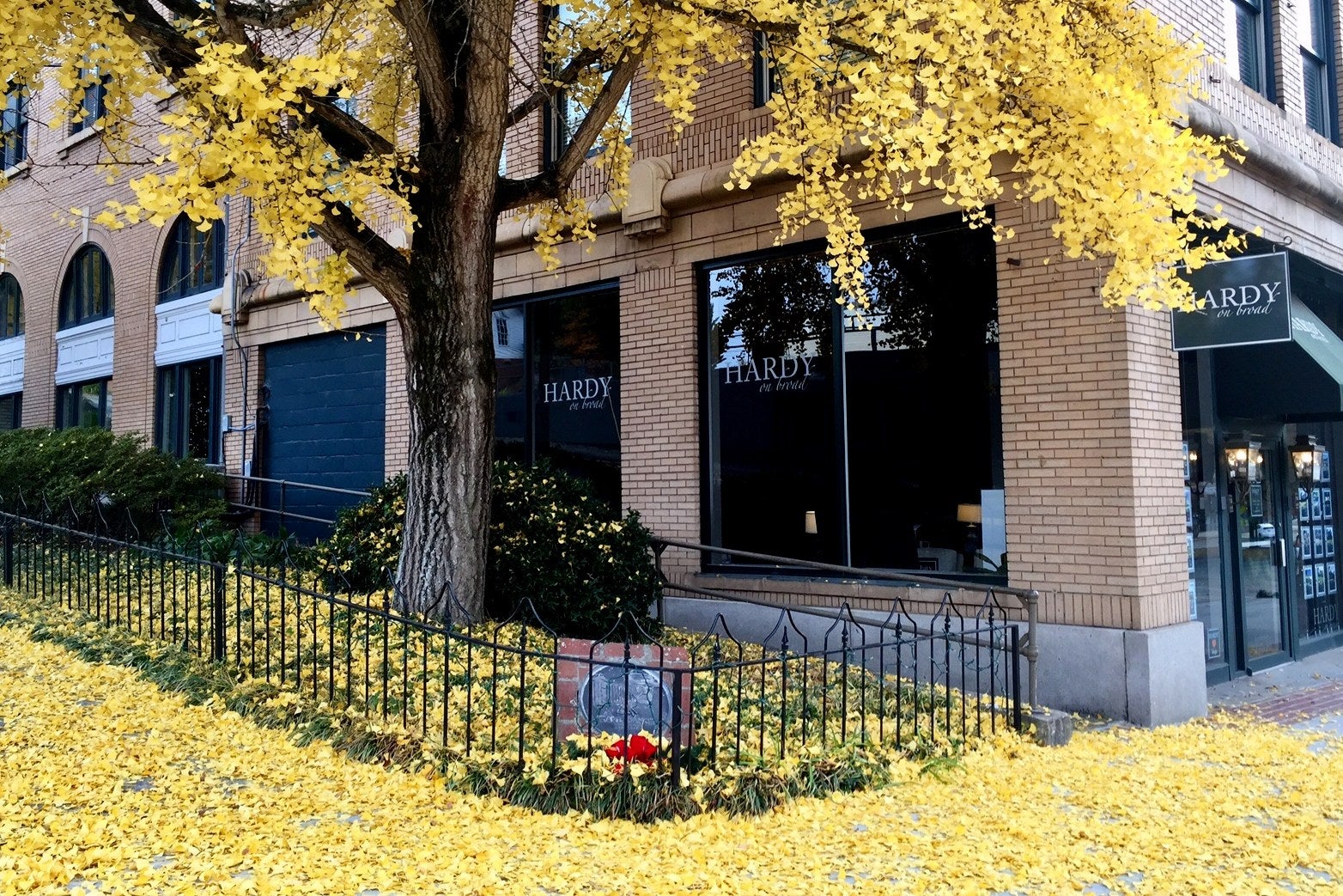 About Us Hardy Realty