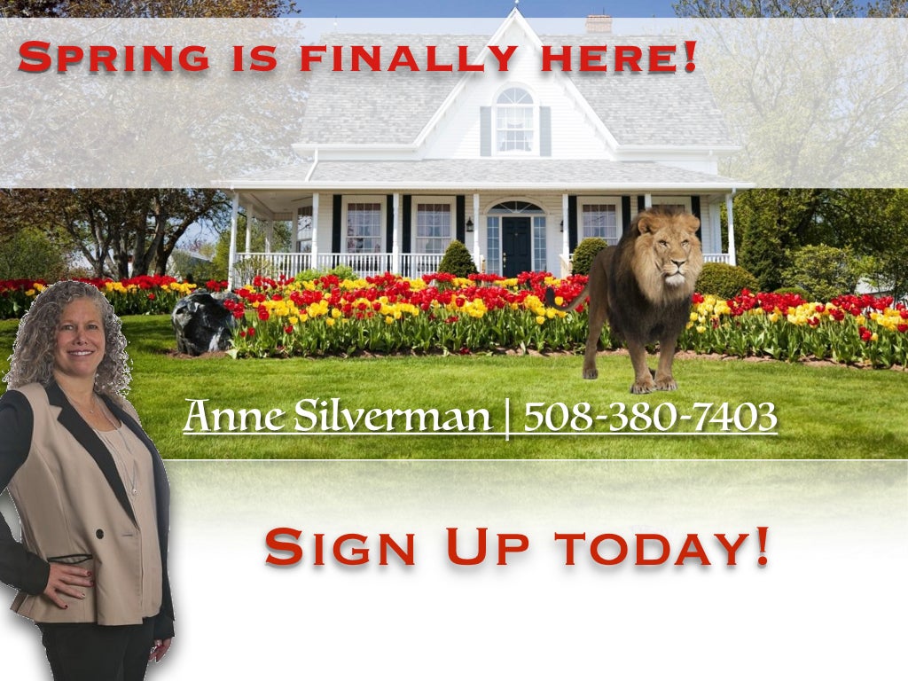 Anne Silverman
