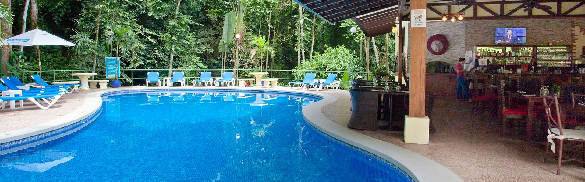 Manuel Antonio Hotels For Sale Manuel Antonio Properties
