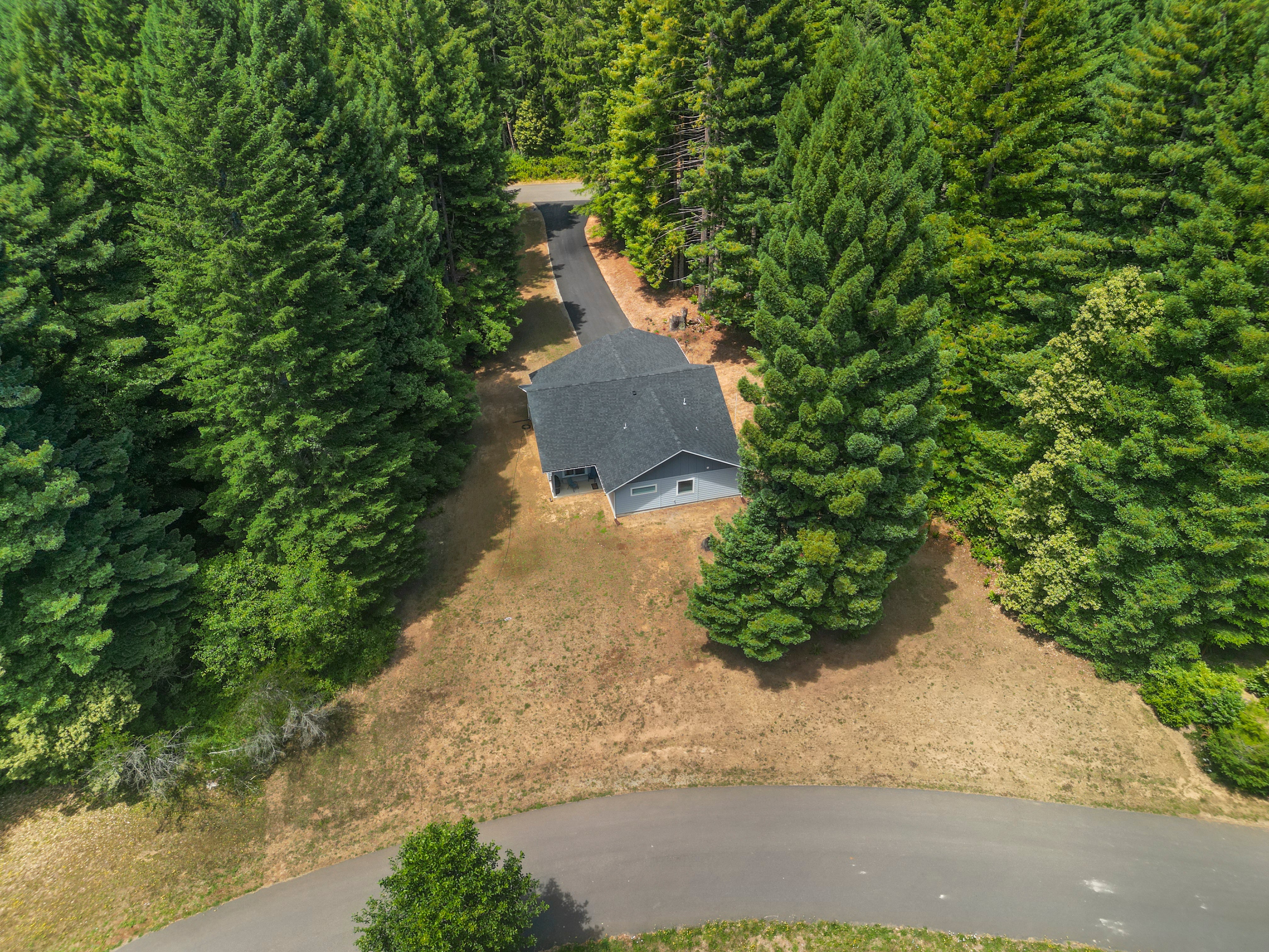 Modern Comfort Surrounded by Redwoods
