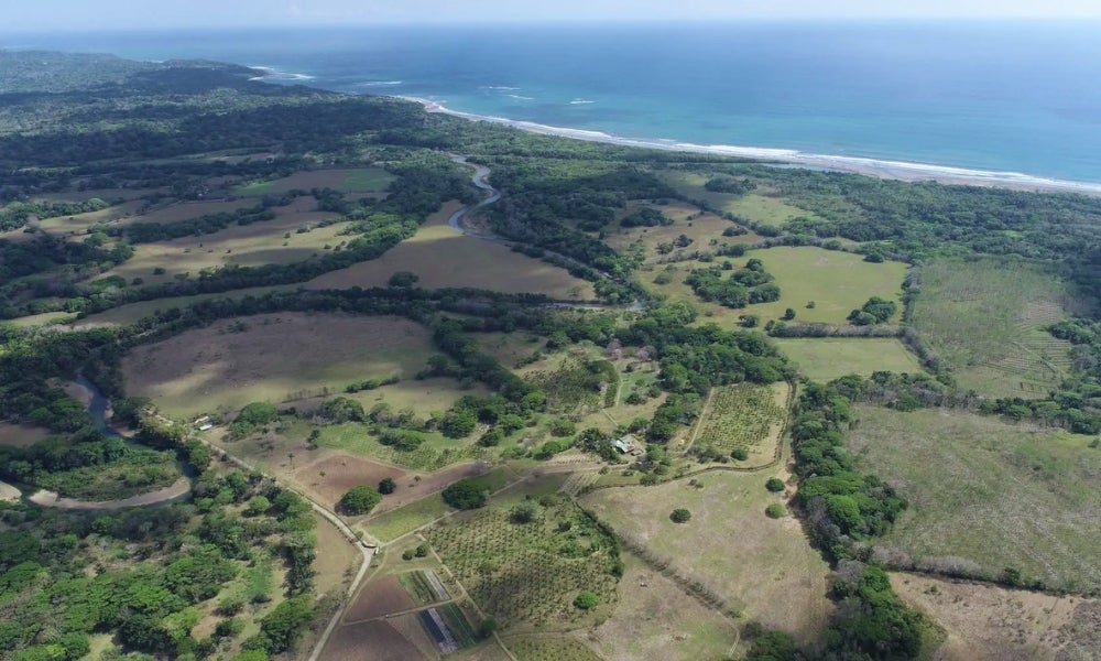 101 Hectares Near Santa Teresa