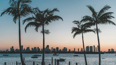 Before You Move to Orlando: 10 Things Locals Wish New Residents Knew Tree-lined residential street in an Orlando, Florida neighborhood on a sunny afternoon