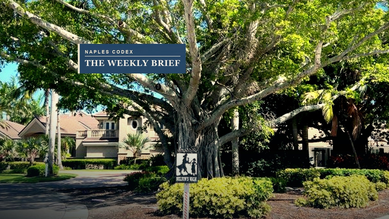 Naples Codex Weekly Brief - Build Year Joined the Water | July 24, 2026