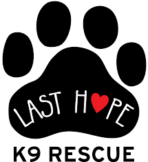 Non-profit Last Hope K9 a safe haven for dogs