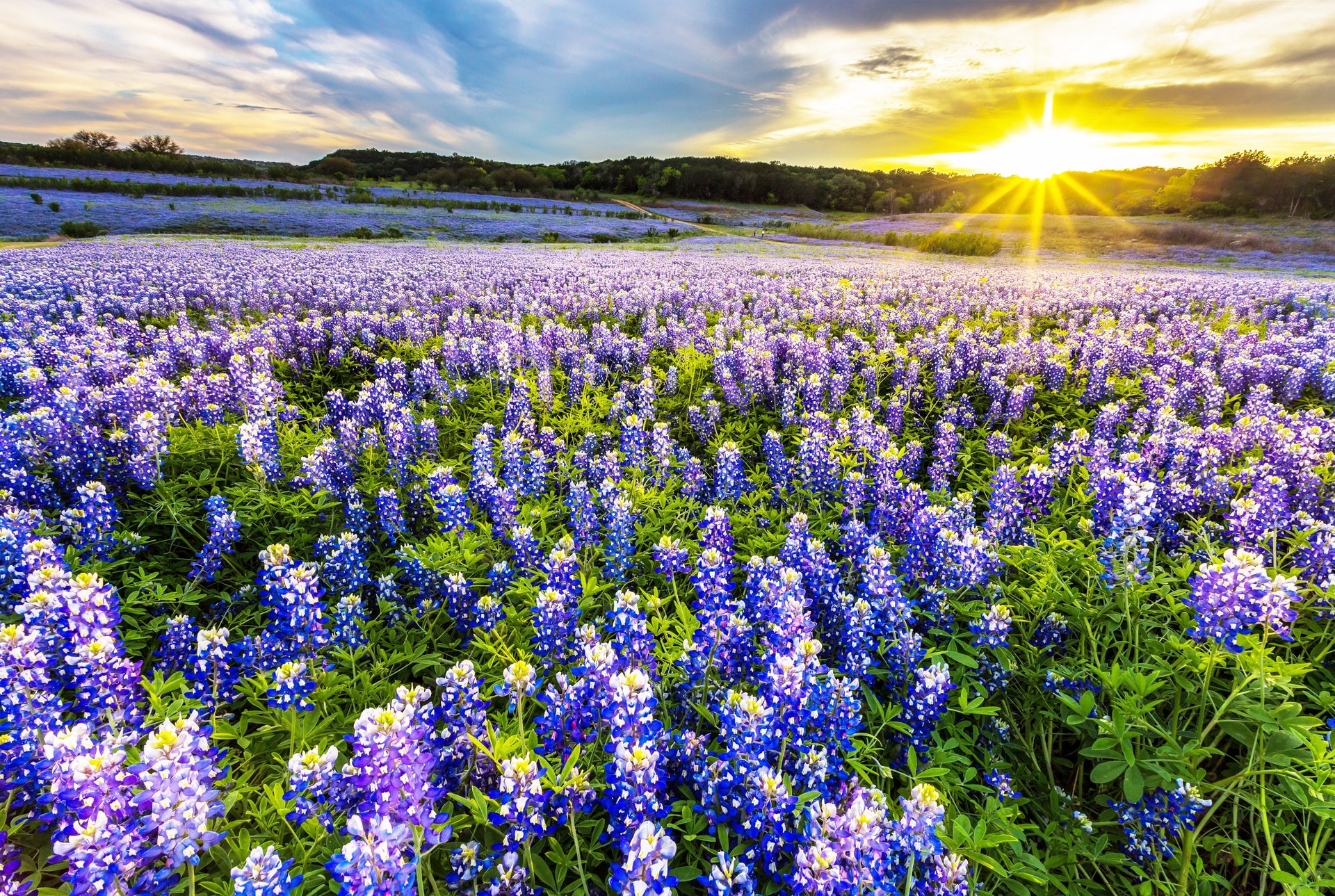 spring texas places to visit