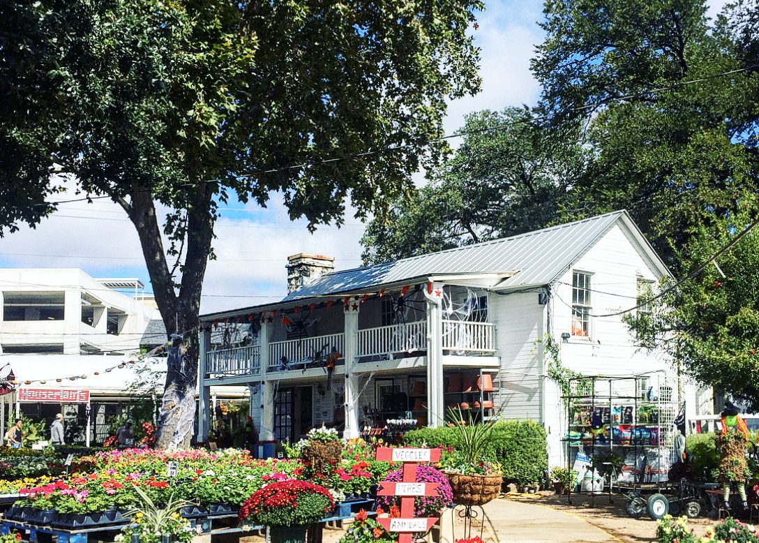 10 Gardening Stores for the Green Thumb