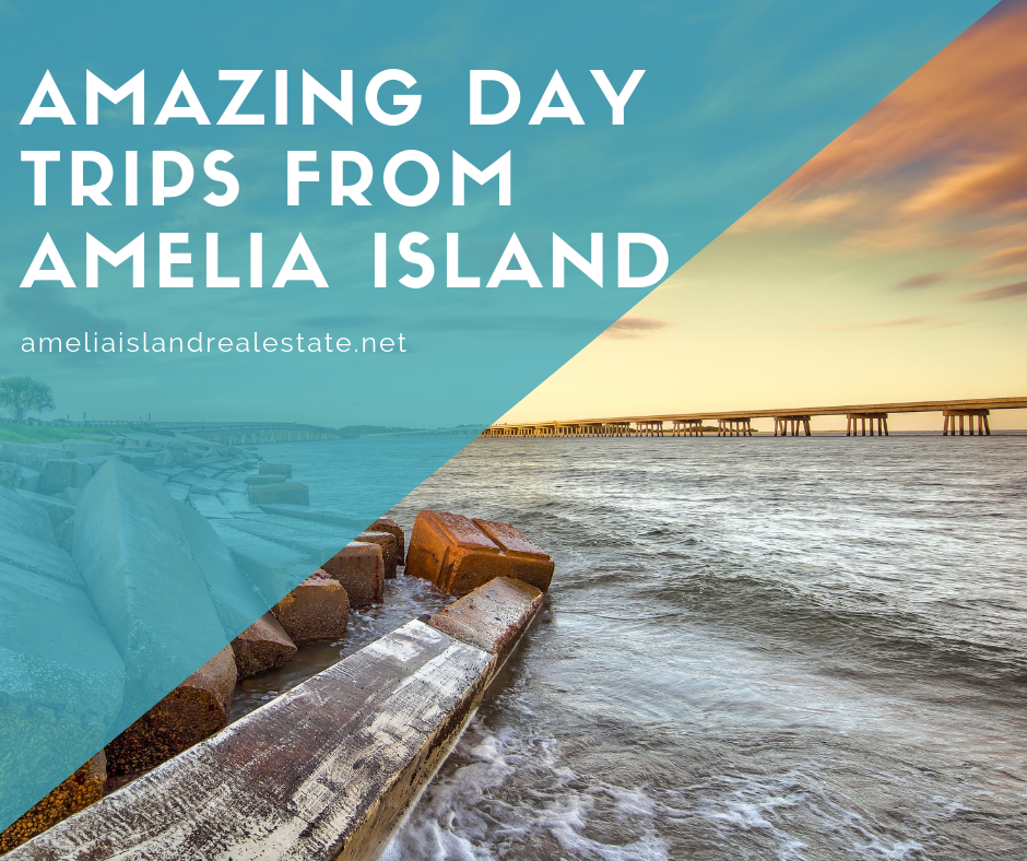 Amazing Day Trips to Take from Amelia Island | Amelia Island Real Estate