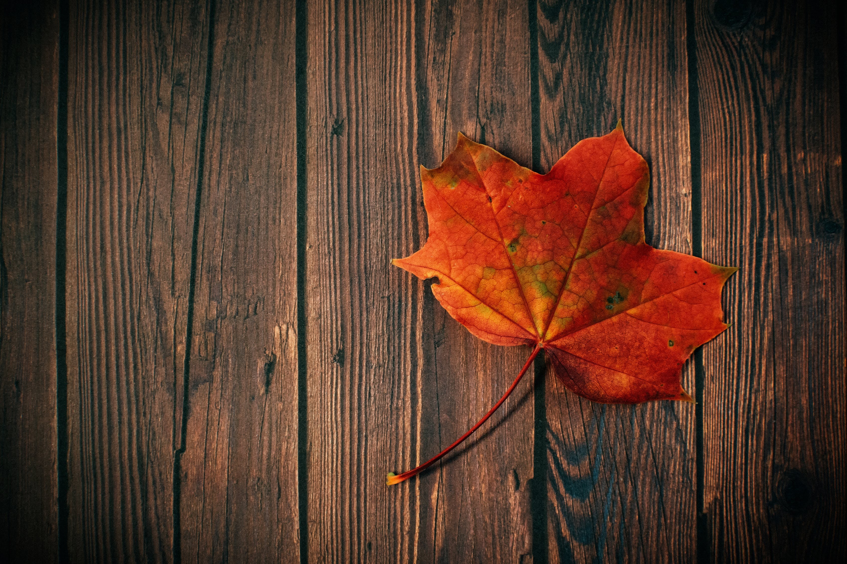 LAER's Top Ten Tips For Getting Your Home Ready For Cold Weather