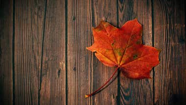 LAER's Top Ten Tips For Getting Your Home Ready For Cold Weather LAER's Top Ten Tips For Getting Your Home Ready For Cold Weather
