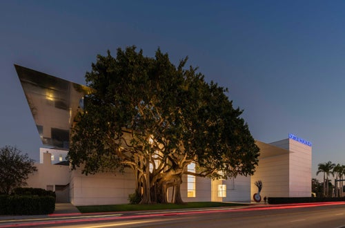 What You Need to Know About the New Norton Museum