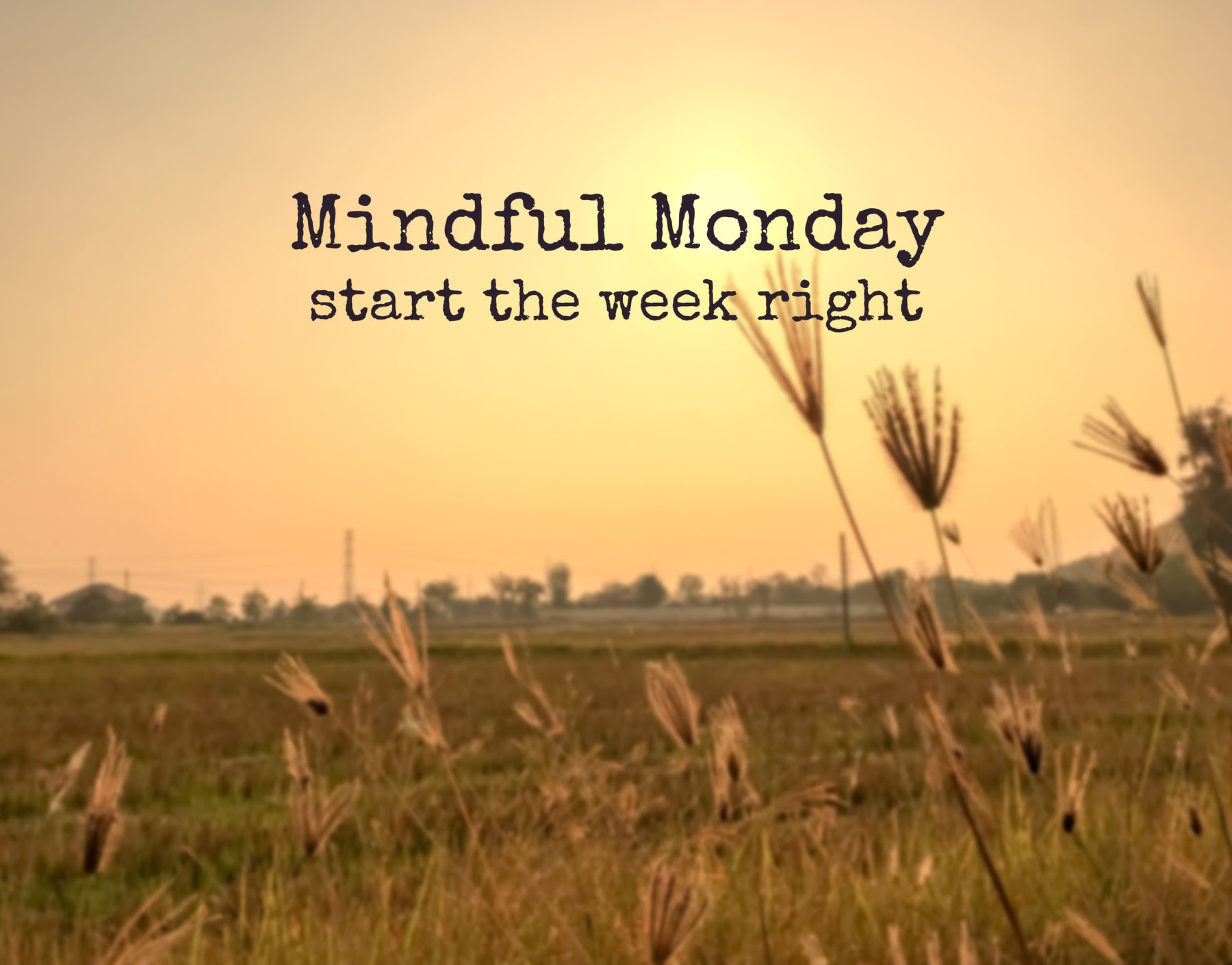 An Introduction to Mindfulness - The Monday Campaigns