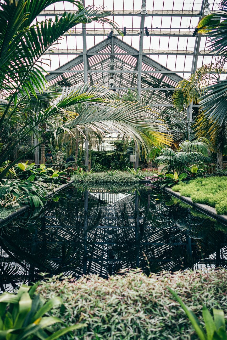 Love this greenhouse 