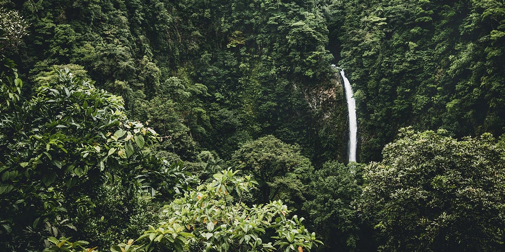 An ecological leader: How sustainability has become a part of Costa Rica’s identity. 
