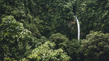 An ecological leader: How sustainability has become a part of Costa Rica’s identity. An ecological leader: How sustainability has become a part of Costa Rica’s identity.