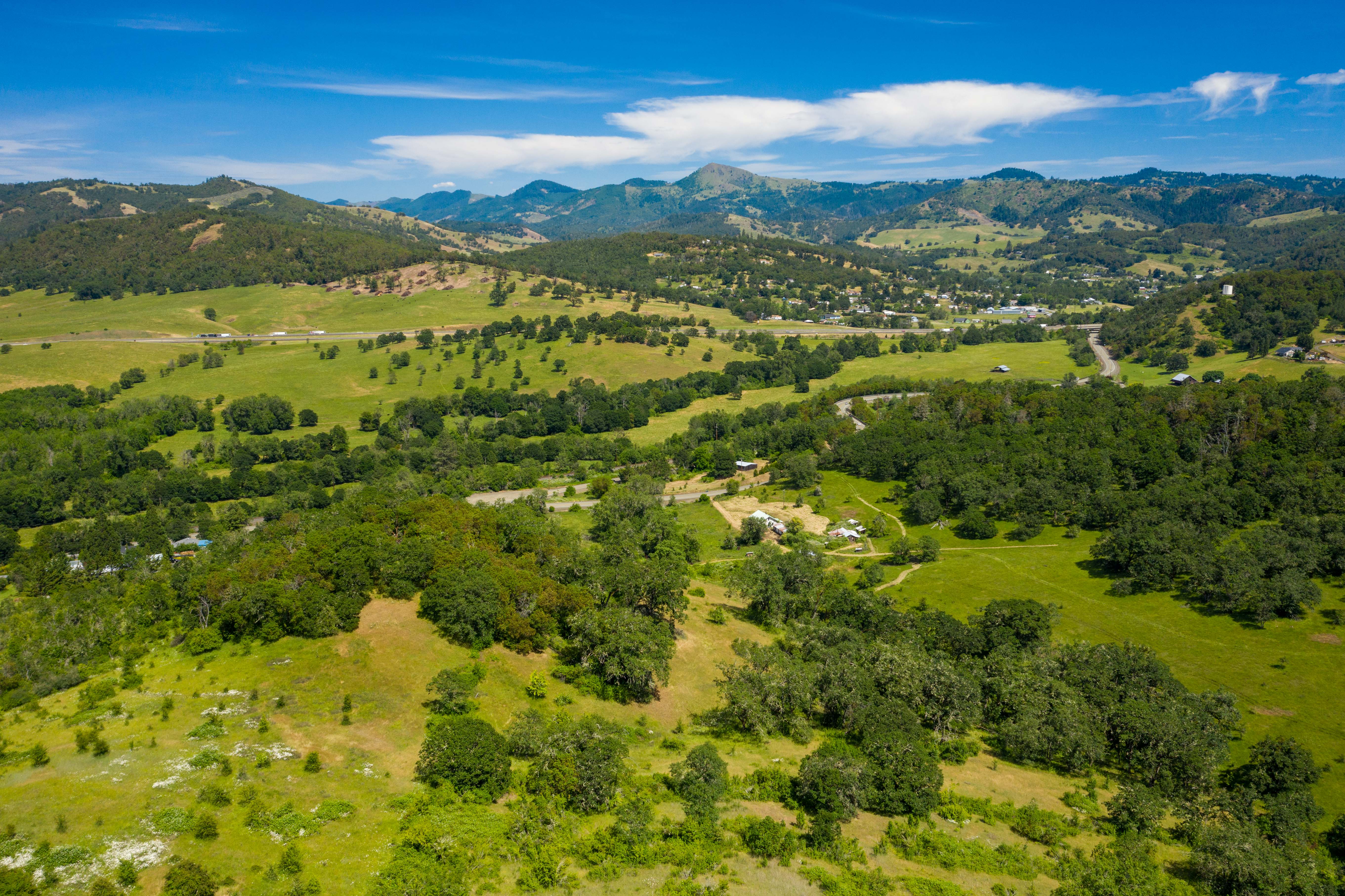 Douglas County Real Estate Market Trends for 2022