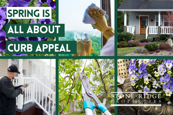 Photo of Spring Cleaning to Enhance Curb Appeal Power washing, Pansies, Window washing