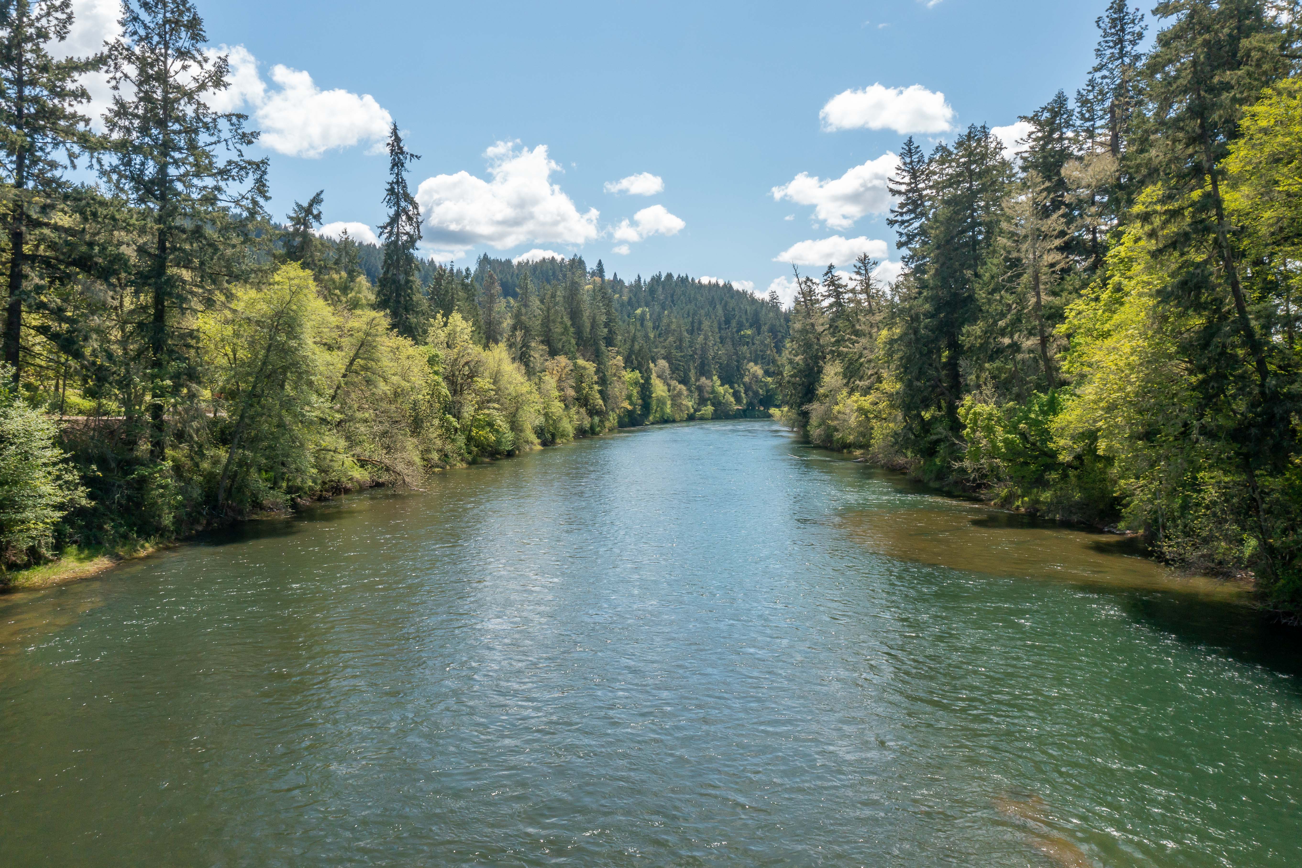 Douglas County Real Estate Market Trends for March 2023