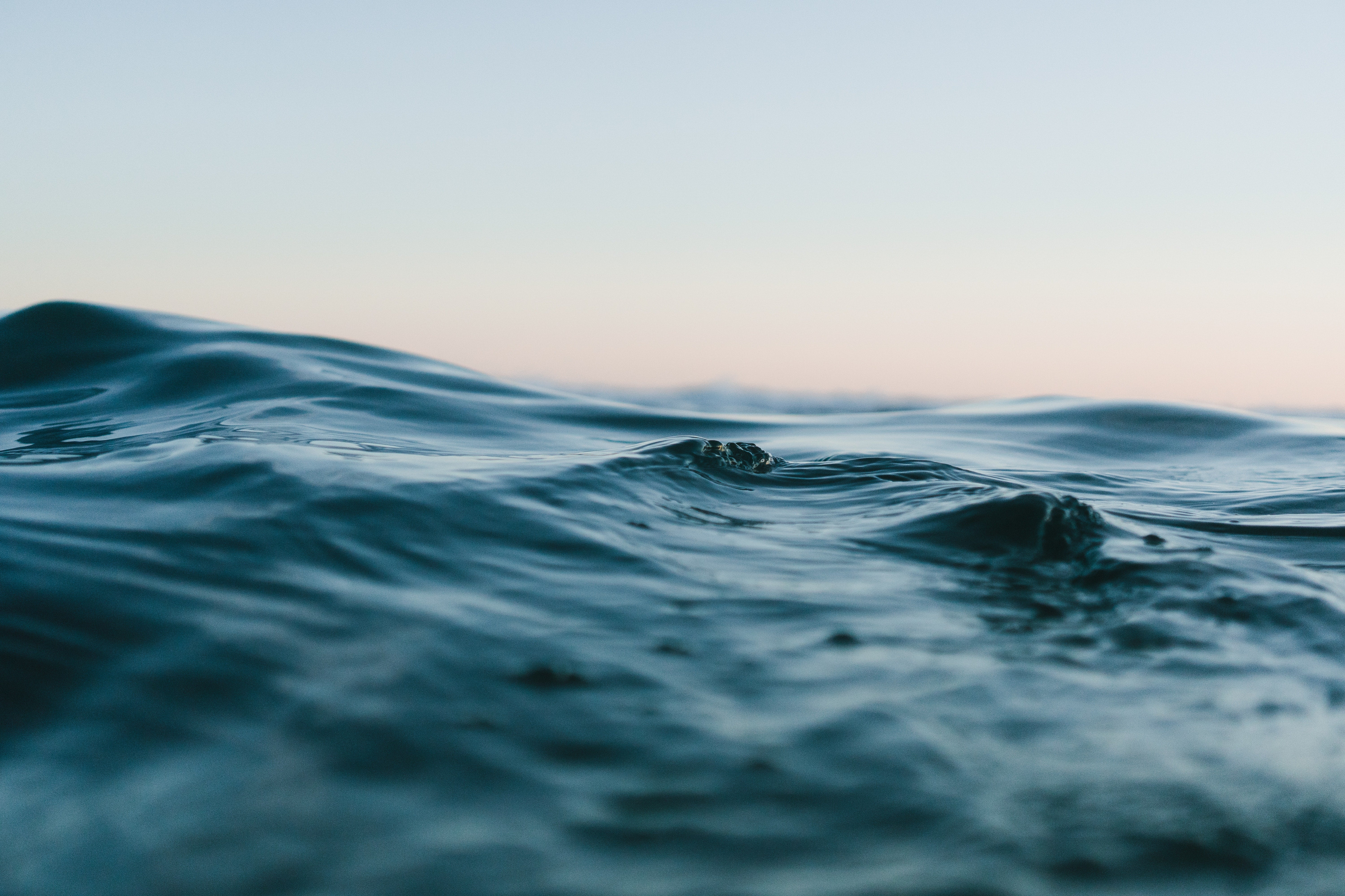Celebrating World Ocean Day: 10 Easy Ways to Protect Our Precious Seas
