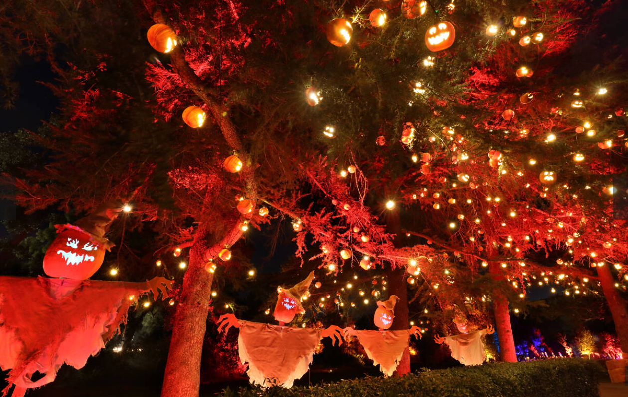 Santa Monica Mountains Welcomes Enchanting Jack-O’-Lantern Trail