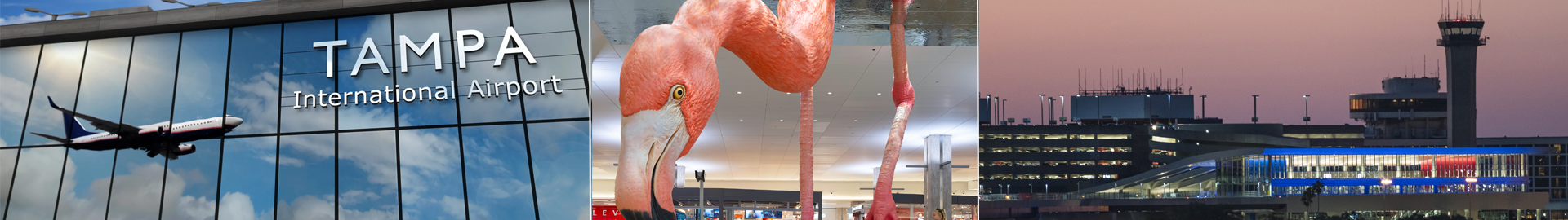 Tampa International Airport ranked #1 by J.D. Power for Large Airports