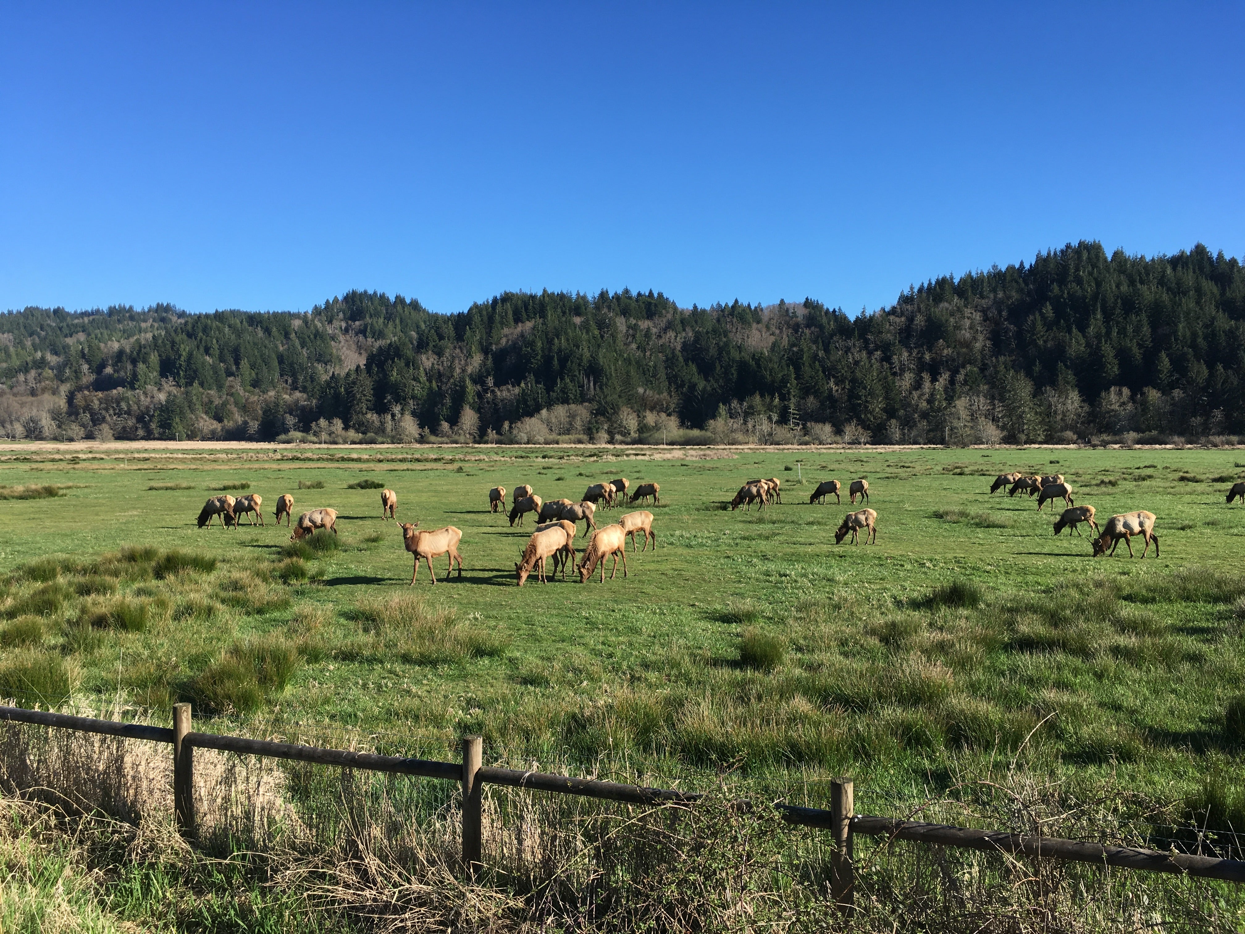 Douglas County Real Estate Market Trends for September 2023