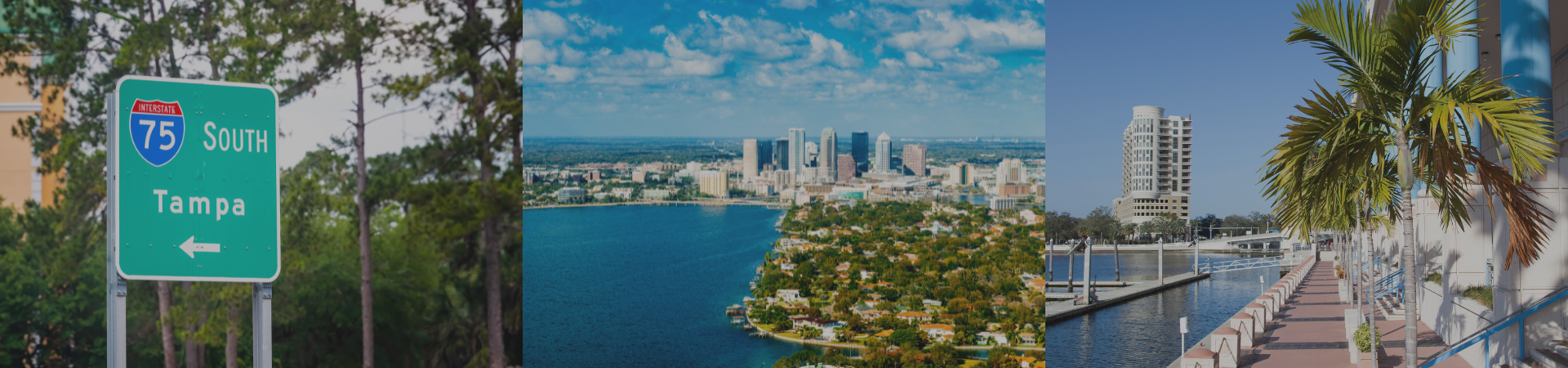 Discover the Best Neighborhoods in South Tampa: A Guide for Families, Professionals, Investors, and More