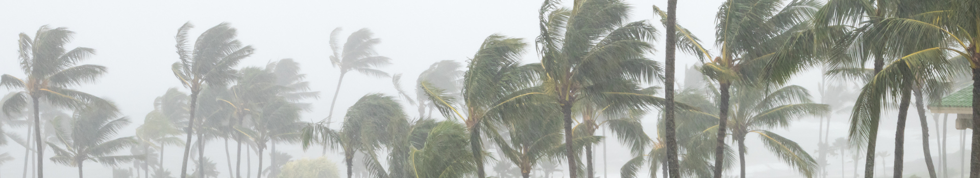 Tampa Bay Real Estate: After Hurricanes Helene and Milton